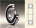 Roller Bearings